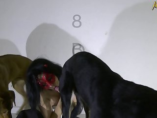 Xxxww Dog - De Perrito Vestida De Negro
