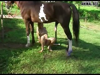 Aas Milly Horse 1 Part 2
