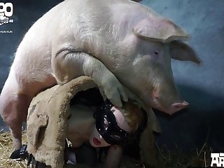 Boar Porn