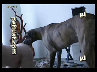 Zoo Gay Petlust M16 4 Bb14 Big Knot Part 5