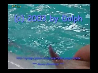 Dolphin Male Cumming