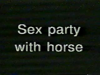 Sexparty With A Horse