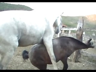 Lupe Vs Stallion Scene 01