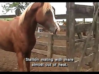 Squirting Mare