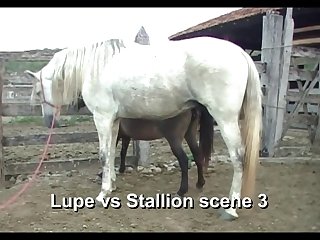 Lupe Vs Stallion Scene 03