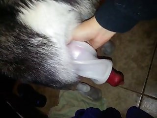 Milking Her Dog