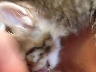 Kitten Licking Coconut Oil Off My Clit And Pussy Lips 2