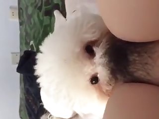 Chinese Girl Gets Licked By Small Dog