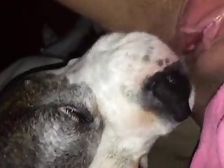 Dog Loves Licking Wet Pussy