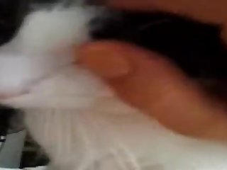 Cat Sucking And Playing With Nipple