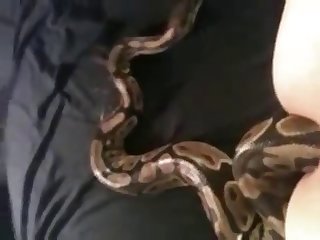 Snake In Ass