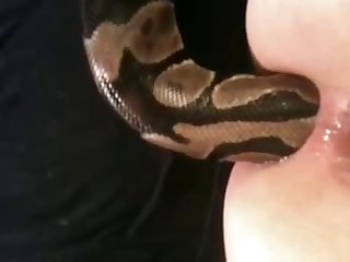 Snake In Ass