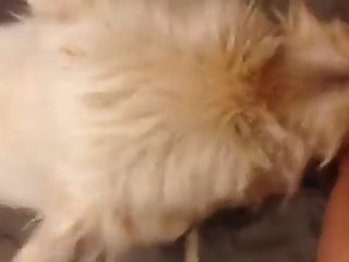 Fat Hairy Pussy