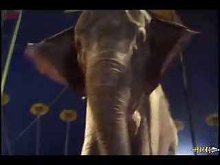 Slurp Went His Cock In The Sow. His Breathing Got