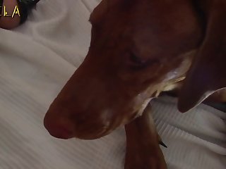 Veronica Silesto Felt So Strongly Towards This Amazing Dog And Was Petting Him And Kissing Him Back