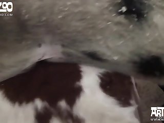 Mature Videos
