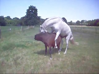 Basjeslotjes Unification2