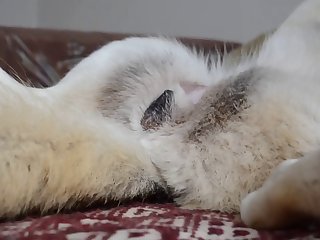 Sandra