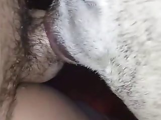 Apretadita Mi Perra