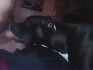Doggy Deepthroat