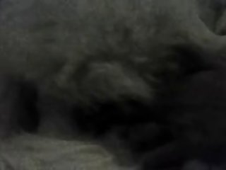 Pussy Rubs 1227151249.avi