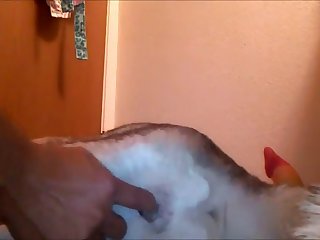 Tight And Juicy Husky Fingering