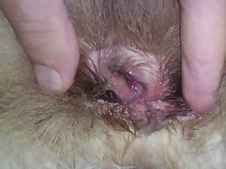 Creampie Pullout