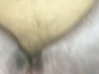 Warm Dog Pussy.