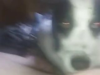 Lily Up The Yingyang