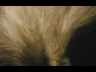 Missionary Closeup