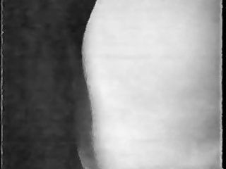 What Does Beastiality