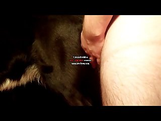 Milf Horse Dildo