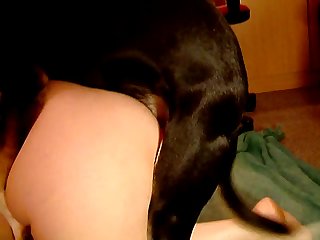 Mississippi Woman Having Sex With Dog Video