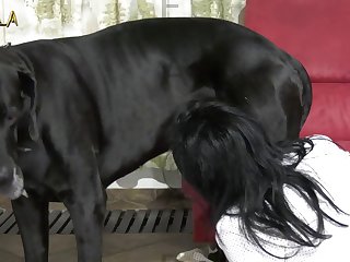 Adorable 3d Horse Bestiality Porn Action