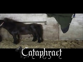 Sexy Animal Tf Porn