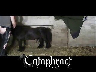 Sexy Animal Tf Porn