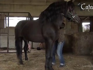 Teenager Animal Porn 