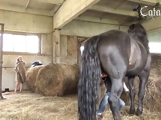 Teenager Animal Porn