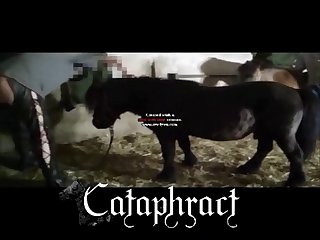 Animal Sex Porn Images