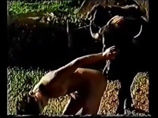 Romantic Animal Porn