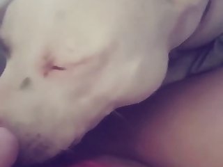 Xvideo Animal Porn