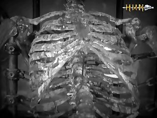 Vidros Porno Zoofilia