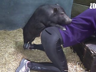 Zoofilia Webm