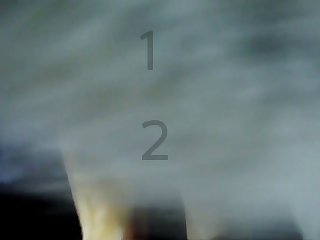 Porno Zoofilia Vacas