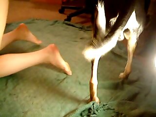 Extreme Porn Websites Reddit