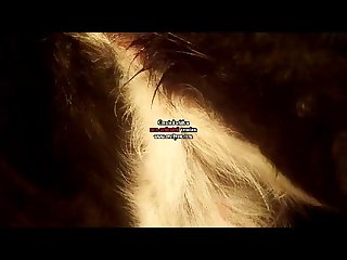Free Animal Extreme Brar Masters Porn