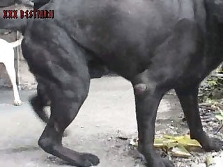 An Extreme Game For People Becoming Desensitized To Porn. Cum Hard Again