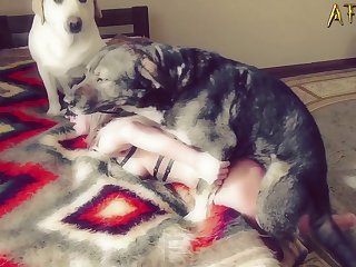 Kat Kiss Porn