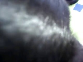 Dog Fuck Cumshot