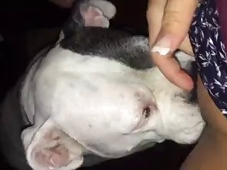 Mei Ling Dog Fuck